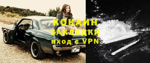эйфоретик Богданович