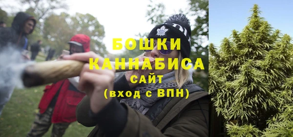 эйфоретик Богданович