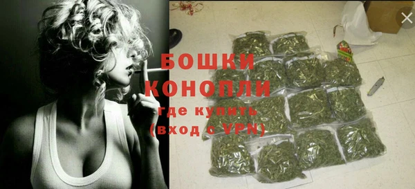 эйфоретик Богданович