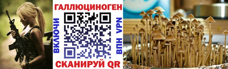 Псилоцибиновые грибы Psilocybe Купить Старый Оскол