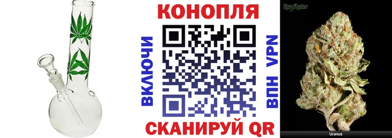 Бошки марихуана планчик  Купить закладки  Старый Оскол 